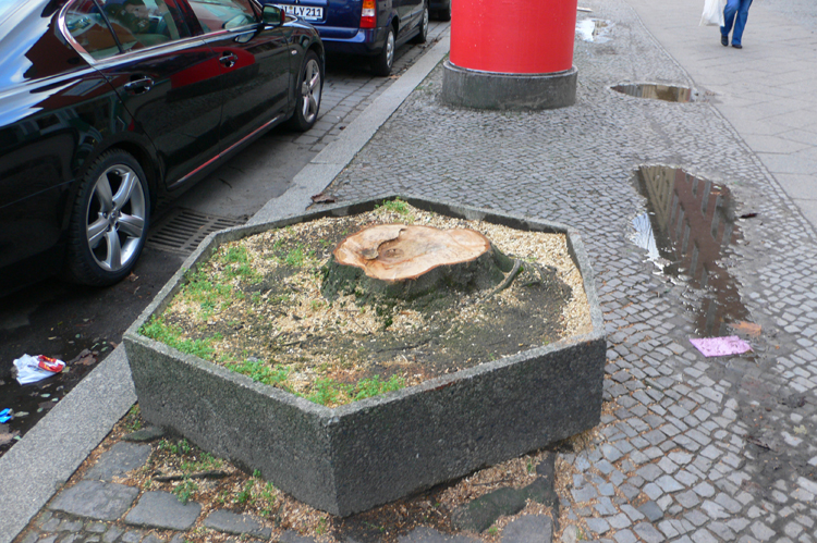 Baumfllaktion Berliner Str.